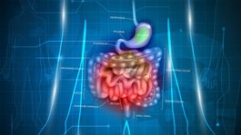 Zápalové ochorenia čriev: Najohrozenejší sú mladí ľudia