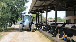 Družstvo či rodinná farma? V Rybanoch družstvo