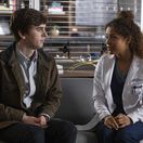 the good doctor, good doctor, dobrý doktor,...