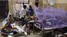 Bangladéš sužuje najhoršia epidémia horúčky dengue v histórii