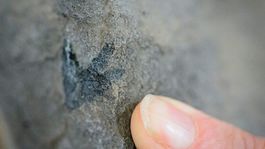 Náleziská dinosaurích fosílií na škótskom ostrove Skye budú chránené