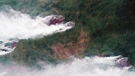 Obnova požiarmi zničených lesov na Sibíri môže trvať aj vyše 100 rokov