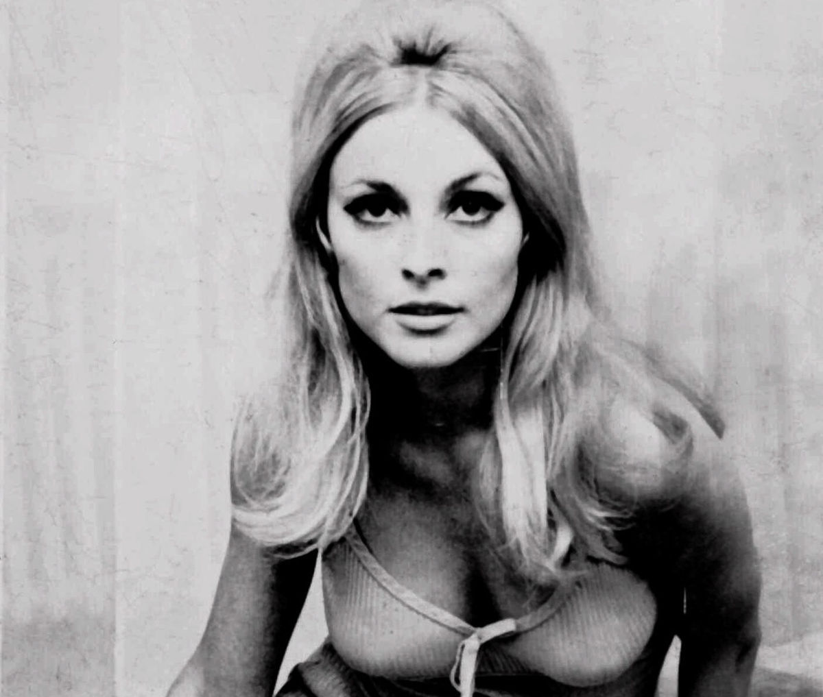 Herečka Sharon Tate na nedatovanej fotografii.