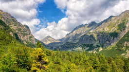 'Stratení v lese? Neschádzajte z chodníka a nechoďte za svetlom,' radí riaditeľ slovenského skautingu Juraj Lizák