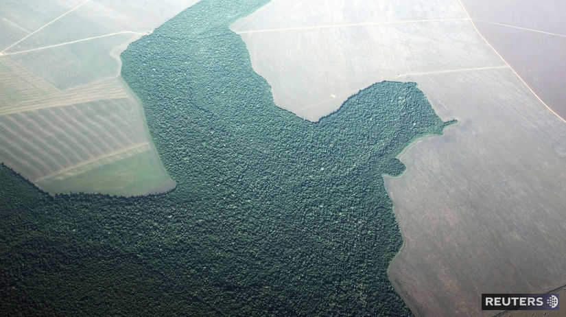 Brazília / Amazónia / deforestácia /