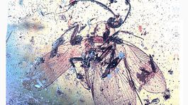 Vedci objavili vírus v jantáre starom 98 miliónov rokov