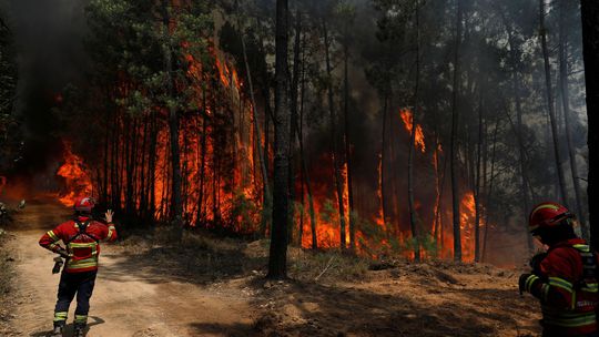 Na ostrove Gran Canaria hasia veľký lesný požiar