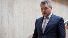 Pellegrini: Teraz by mali odísť aj Sulík a Matovič
