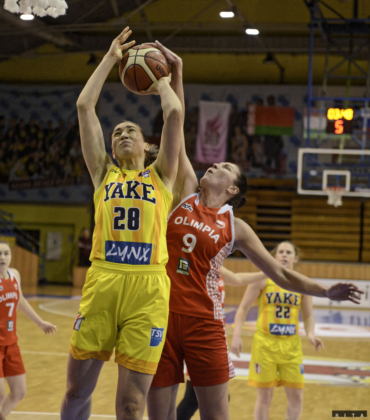 Basketbalistky Young Angels Košice odohrali...