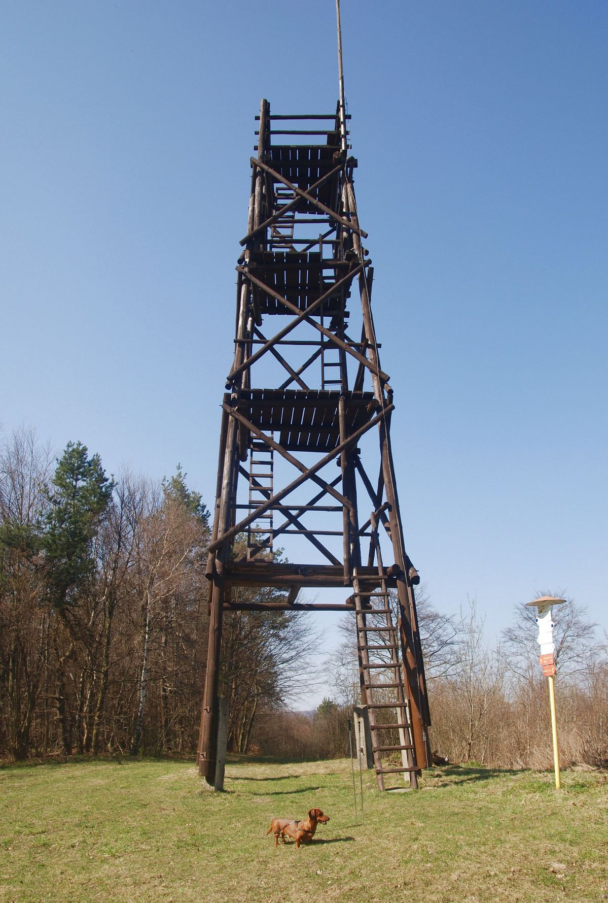Rohuľa