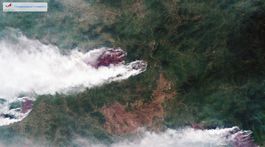 Celková plocha lesných požiarov v Rusku sa zmenšila o 10 000 hektárov