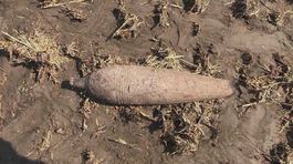 Namiesto húb našiel granáty a míny, výbuch bol nevyhnutný! Pozrite si video