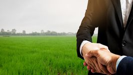 Zmluva o pozemkovom spoločenstve: Členstvo v spoločenstve, práva a povinnosti členov