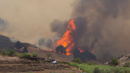 Lesný požiar na Gran Canarii nie je pod kontrolou, 8 000 ľudí bolo evakuovaných