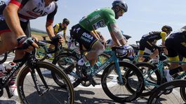 Sagan ako prasa? Pelotón je džungľa, jazdia tak všetci