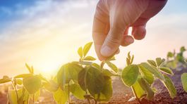 Čo je pozemkové spoločenstvo