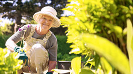 Ktorí penzisti môžu využiť nezdaniteľné minimum?