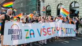 Tvrdá kritika na Fica za zákaz adopcií detí homosexuálmi. Ide len o kampaň?