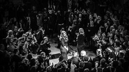 Víťazi Slovak Press Photo? Grand Prix pre kráľovnú noci Čaputovú