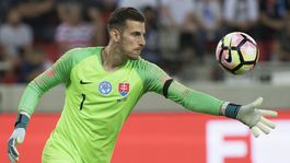Slovákom bude proti zbornej chýbať brankárska jednotka