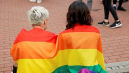 Ľudia nemajú obavy z lesieb a gejov, tvrdí prieskum