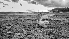 Pomaľované vtáča sa dostalo do výberu hollywoodskych kritikov