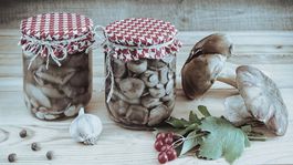 Tipy, triky, nápady: Konzervovanie húb v soli