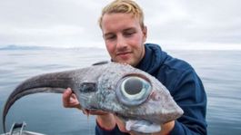 Nórsky rybár vytiahol z mora malého rybieho 'mimozemšťana'