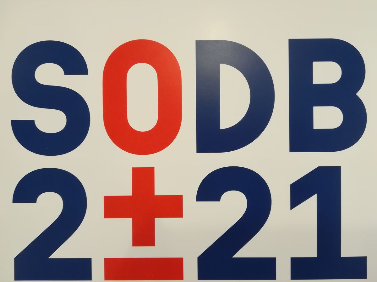 Nové logo sčítania obyvateľov, domov a bytov 2021.