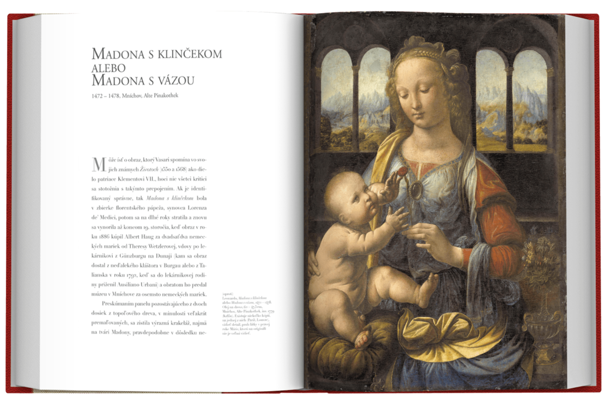 Leonardo 500.