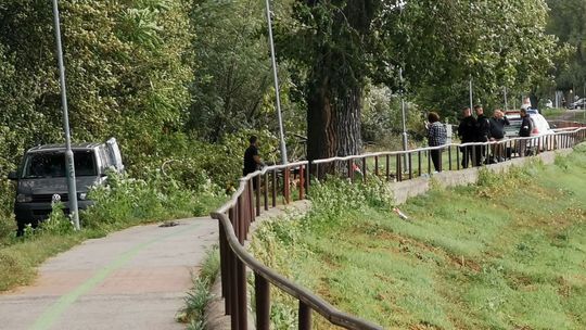 V Nitre vplyvom silného vetra spadol strom na...