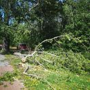 Silný vietor v Nitre zabil 14-ročného chlapca