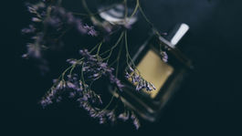 12 voňavých tipov na jeseň 2019! Santal, kamilky či pižmo, s týmto zabodujete