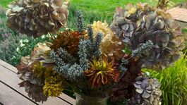 Sušené kvety ozdobia váš interiér: Tieto triky by ste mali poznať!