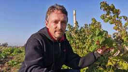 Stromy a kríky reagujú na bláznivé počasie novou úrodou