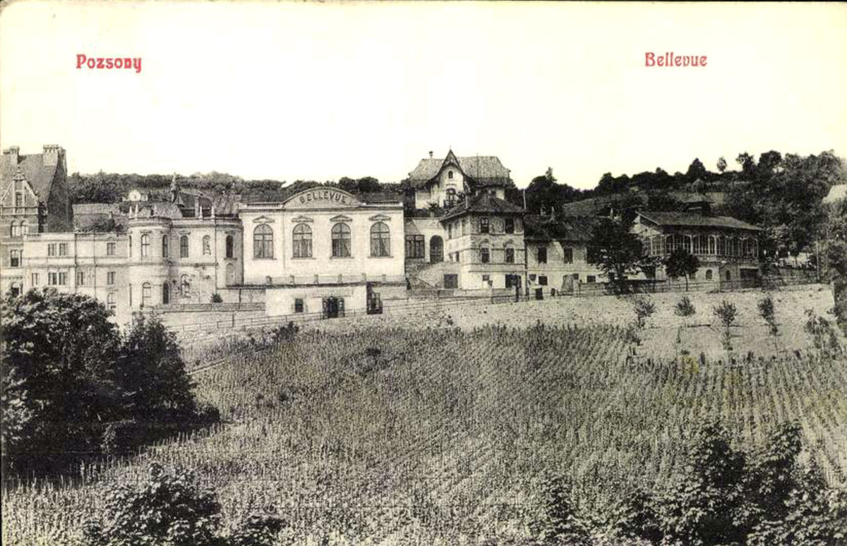 Etablissement Bellevue na Sokolskej, pohľadnica...