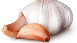 Cesnak.