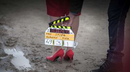 Sviňa je na svete! Ukáže zákulisie politiky, mafie a veľkých peňazí