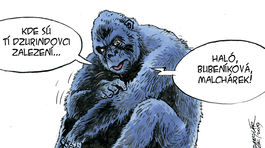 Danglár, 19.10.2019