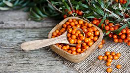 Absolútna bomba pre imunitu? Volá sa rakytník rešetliakovitý!