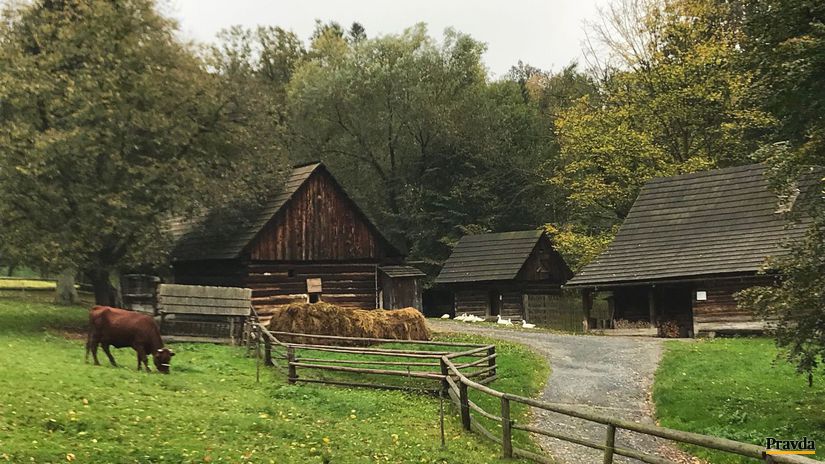 Valašské múzeum v prírode v Rožnove pod...