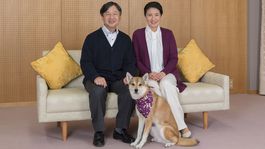 Jediný cisár na svete na tróne vážiacom osem ton