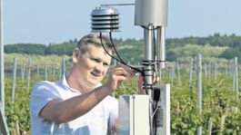 Meteostanice a čisté víno