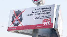 Zostane Gorila navždy údajnou?