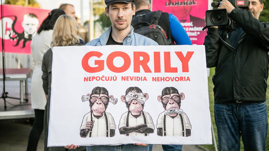 NAKA má vyšetriť podozrenia okolo zničenia originálu Gorily 
