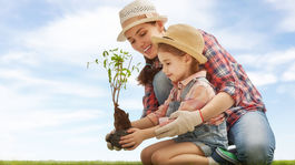 Prenájom pôdy už nepôjde pod cenu