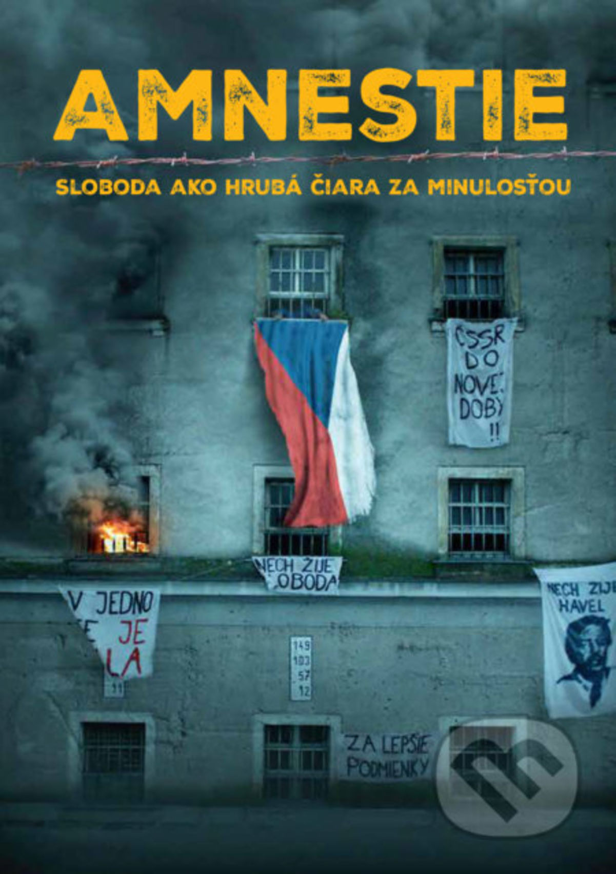 kniha Amnestie