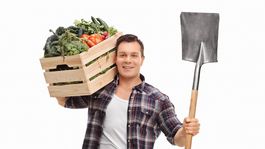 Nájom pôdy: Kedy možno vypovedať zmluvu?