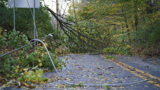 Na pondelok dopoludna platí v Česku pre silný vietor extrémny stupeň nebezpečia