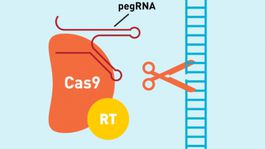 Nástroj na opravenie DNA môže zabrániť väčšine genetických chorôb